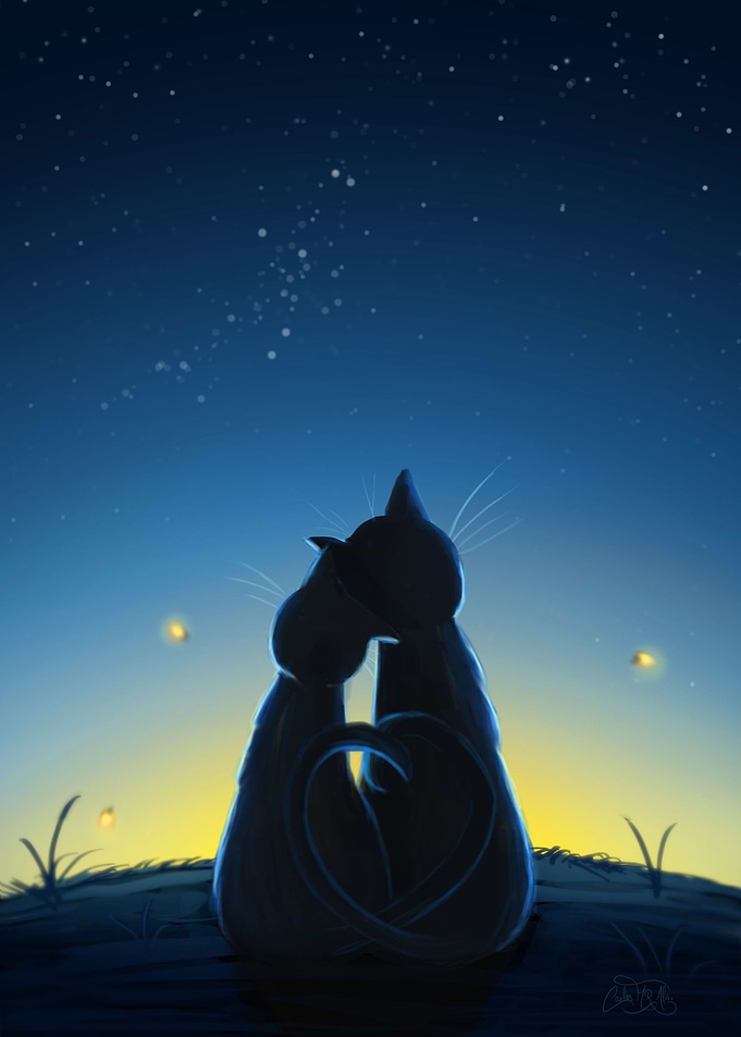 Romantic night out