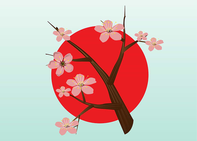 Sakura