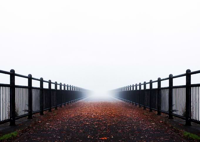 Into the Fog