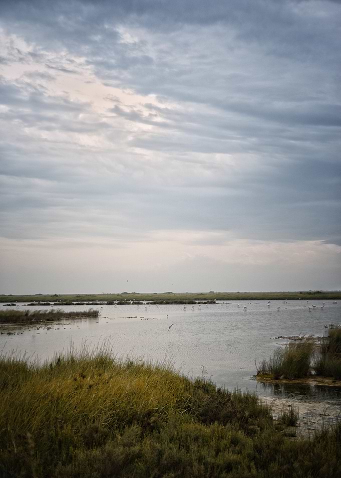 Lagoon