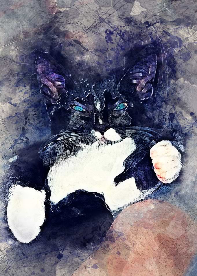 Cat Jagoda