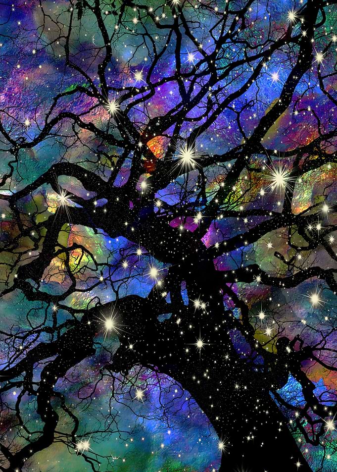 Sweet Dreams