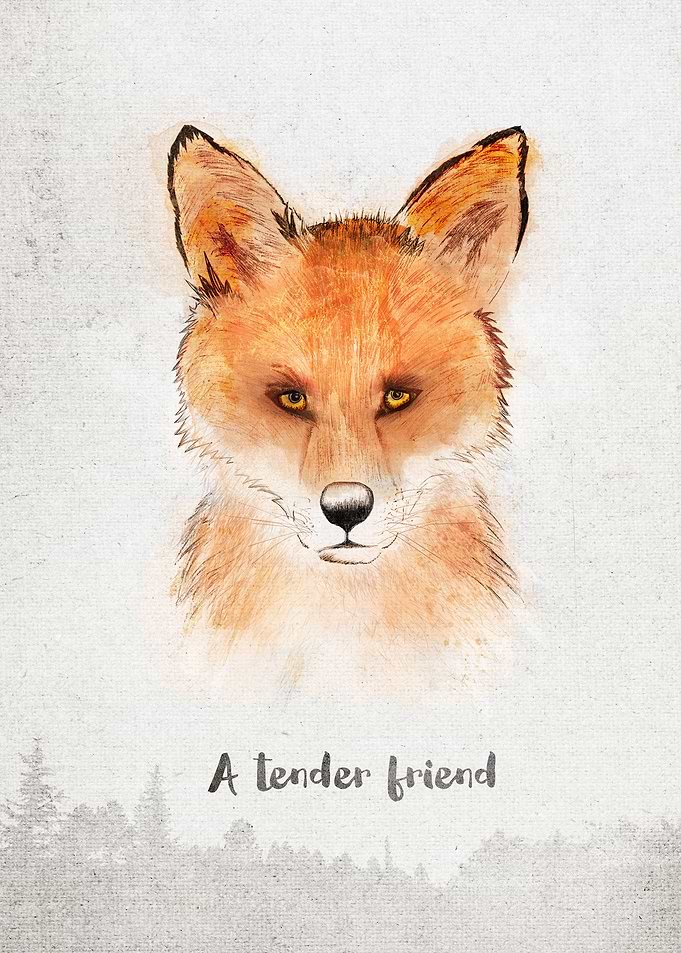 Spirits . Fox - A tender friend