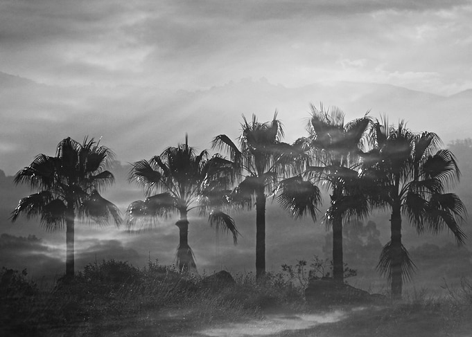 Morning mist on the Costa del Sol, Southern Spain. In t ...