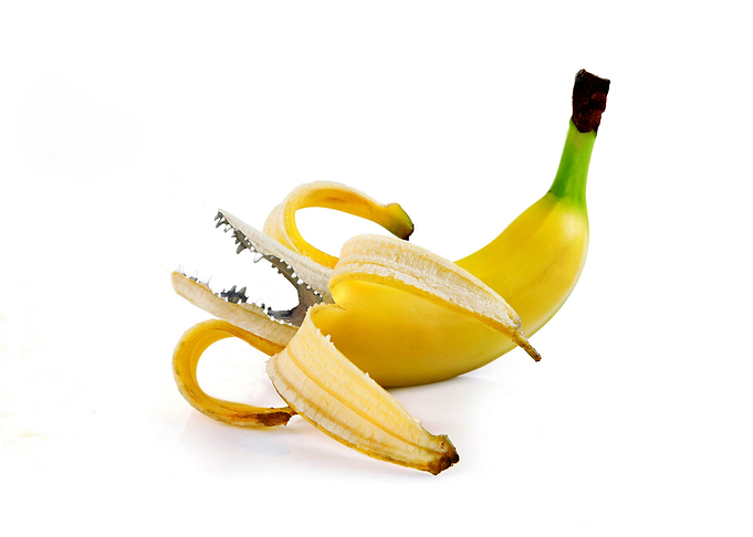The flavor really bites on this funny banana.