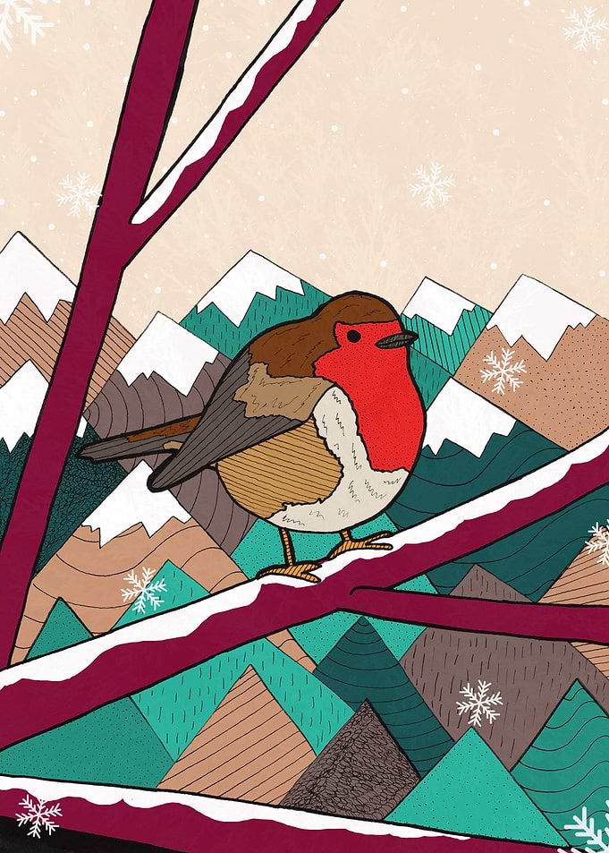 Winter Robin