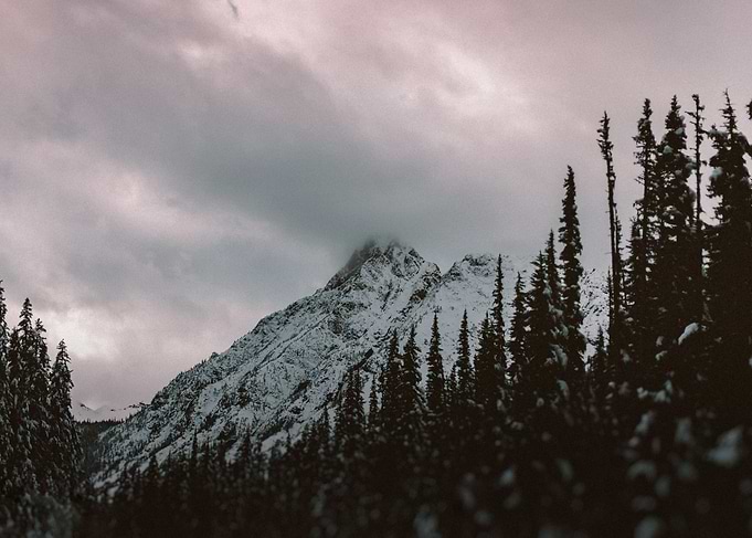 Mountain Love