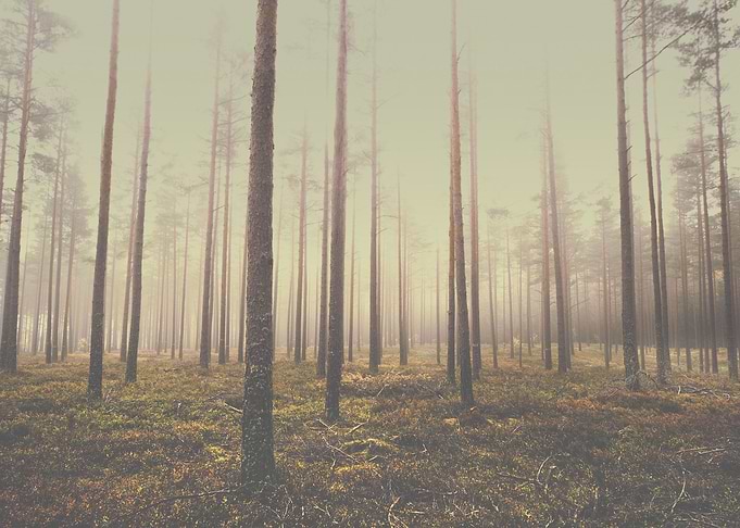 The day we lost. And heaven fell to the ground..