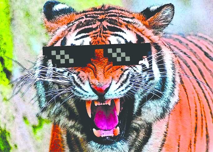 Colorful tiger. TURN DOWN FOR WHAT!