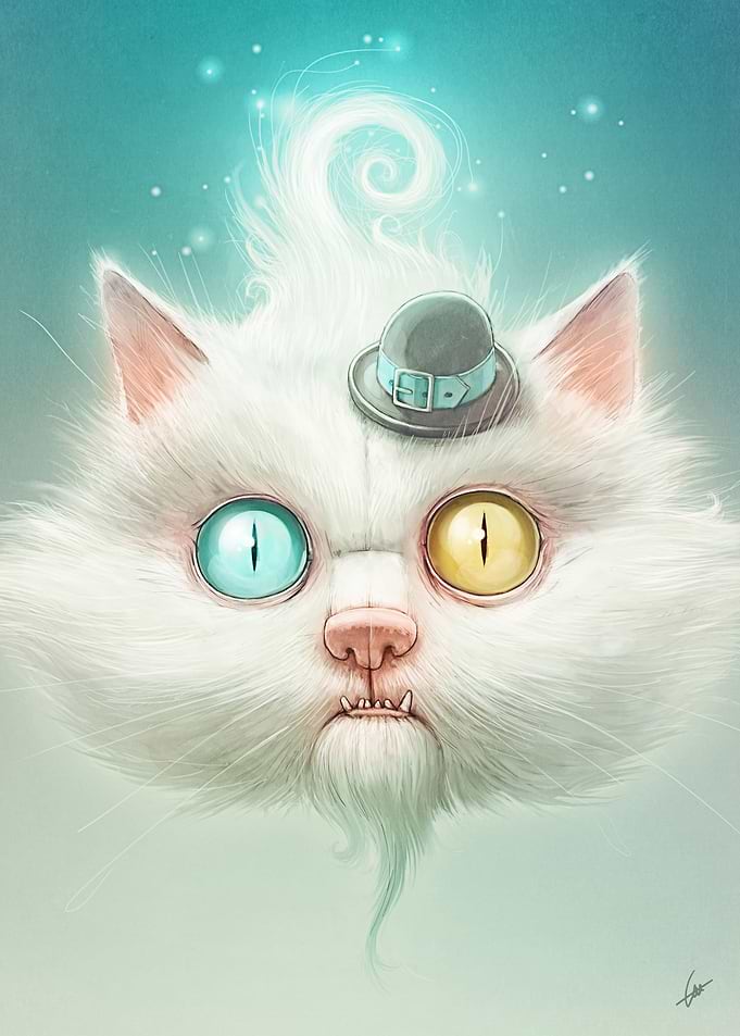 The Odd Kitty