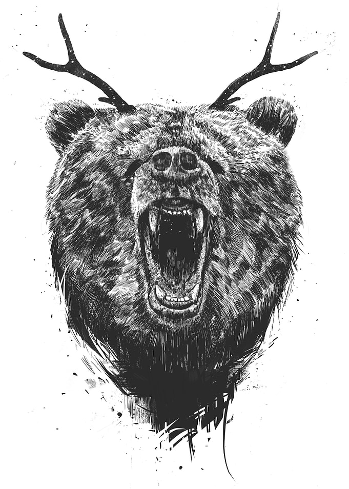 Angry bear with antlers