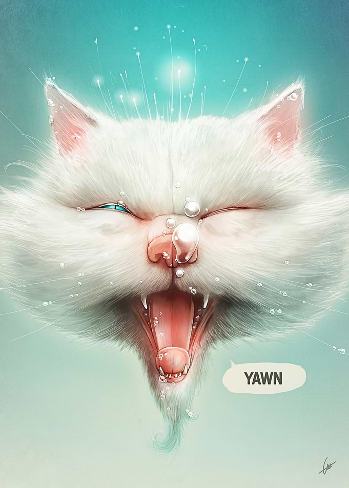 Water Kitty