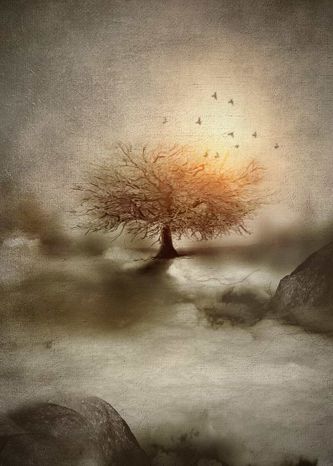 Lone Tree Love IV
