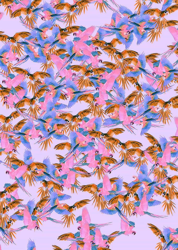 Parrot