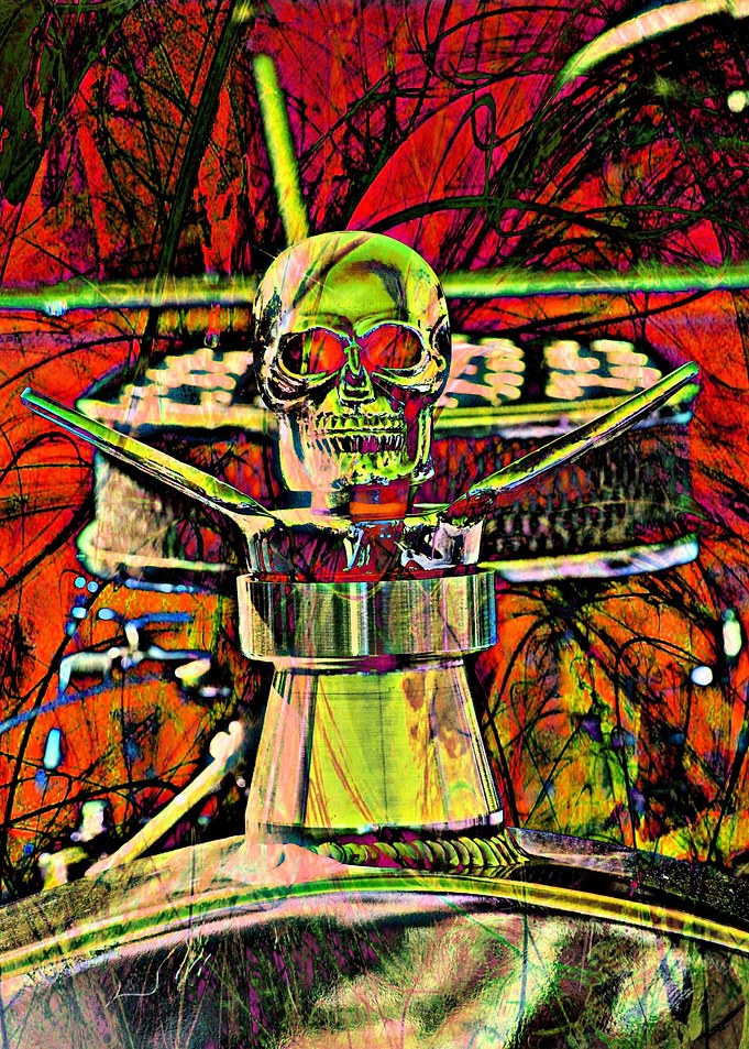 Skull Hood Ornament Digit