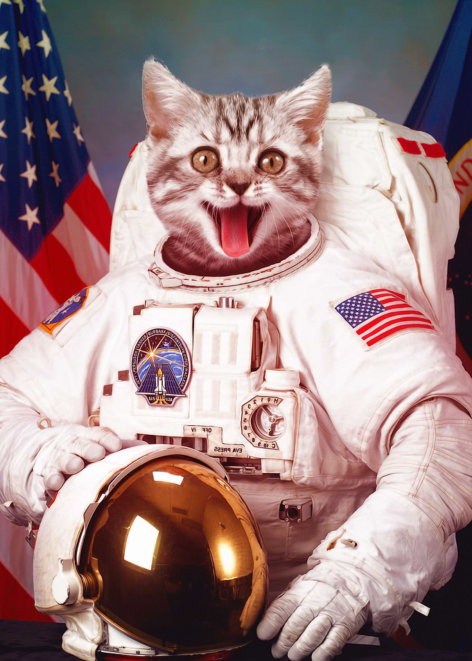 Astrocat
