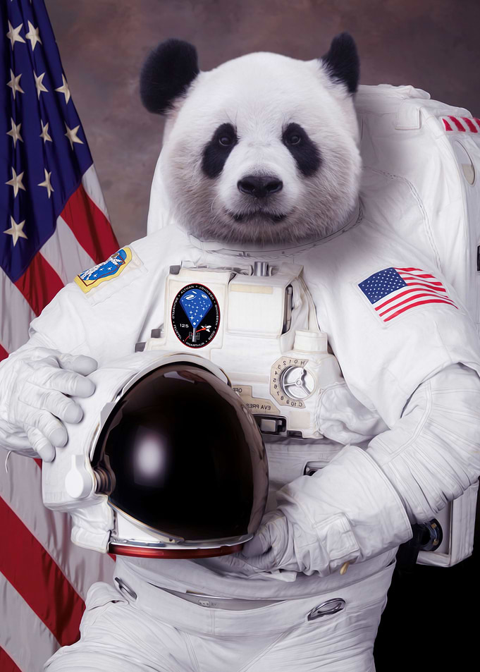 Pandastronaut