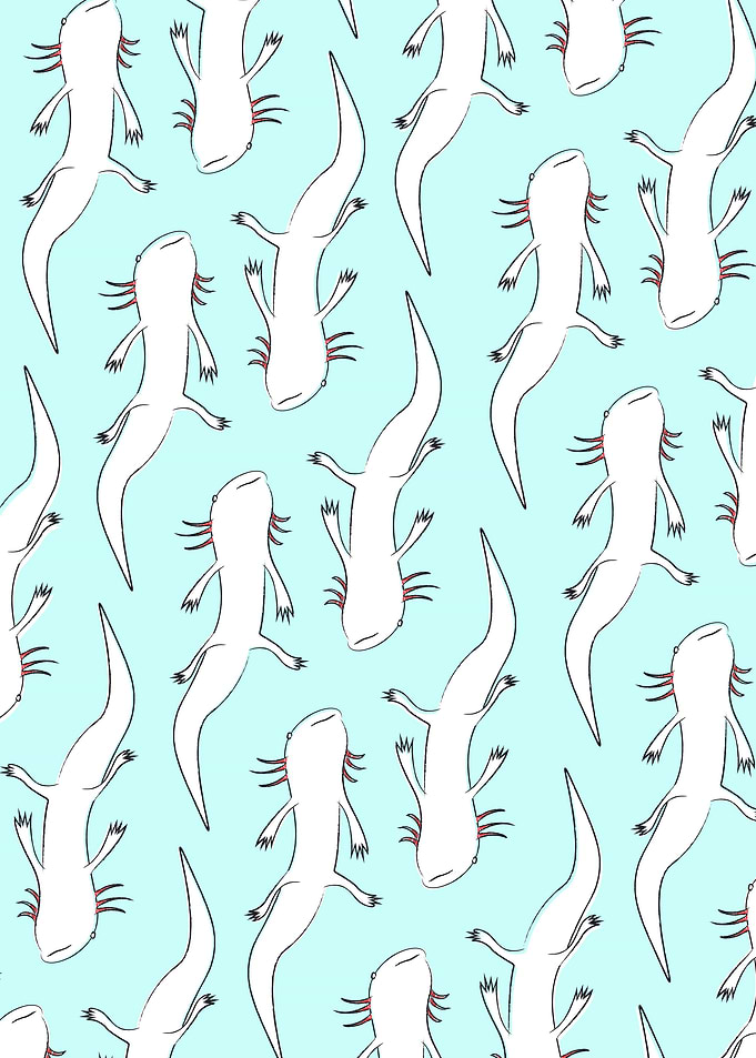 Axolotls