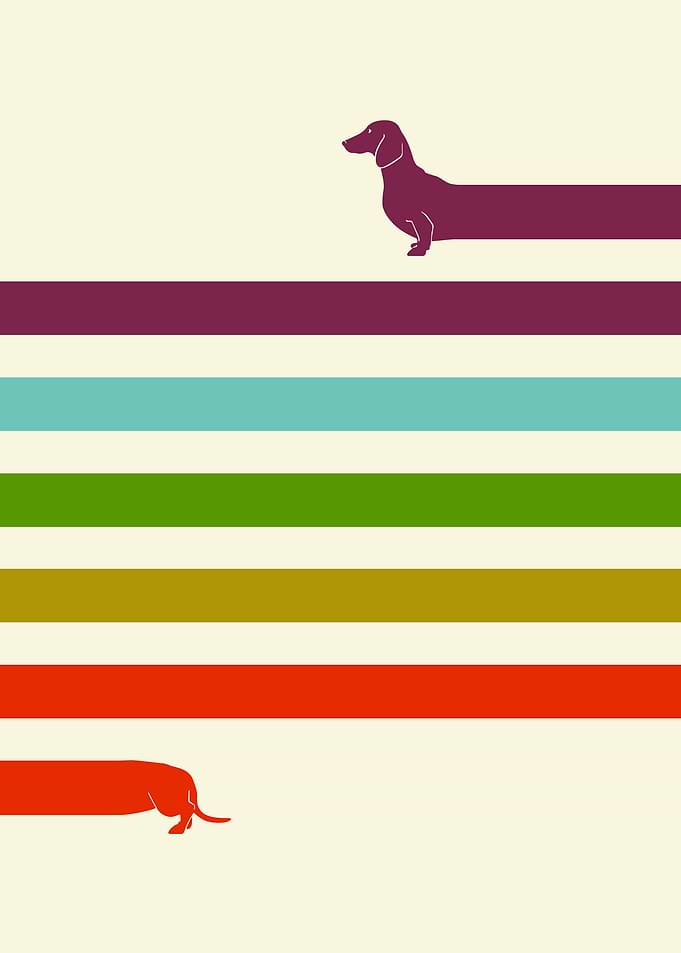 (Very) Long Dachshund