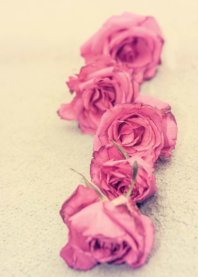 Romantic Row