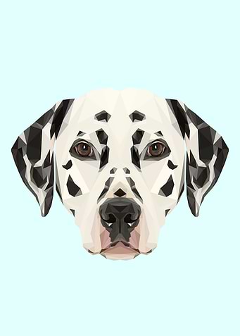 Dalmatian Polygon Art // Pastel Blue