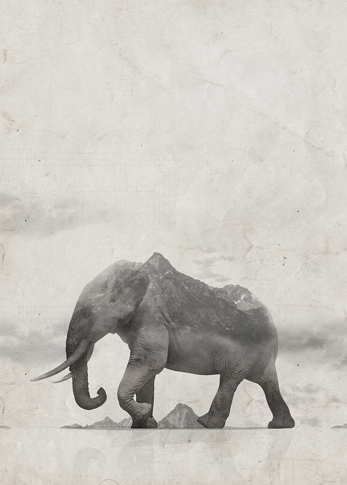 Rocky Elephant