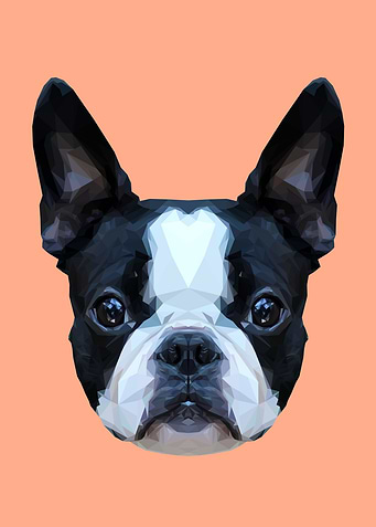 Frenchie/Boston Terrier Polygon Art // Peach