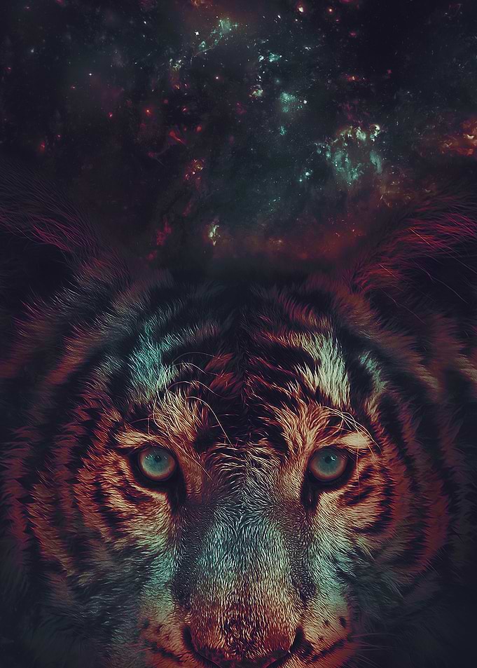Galaxy Tiger