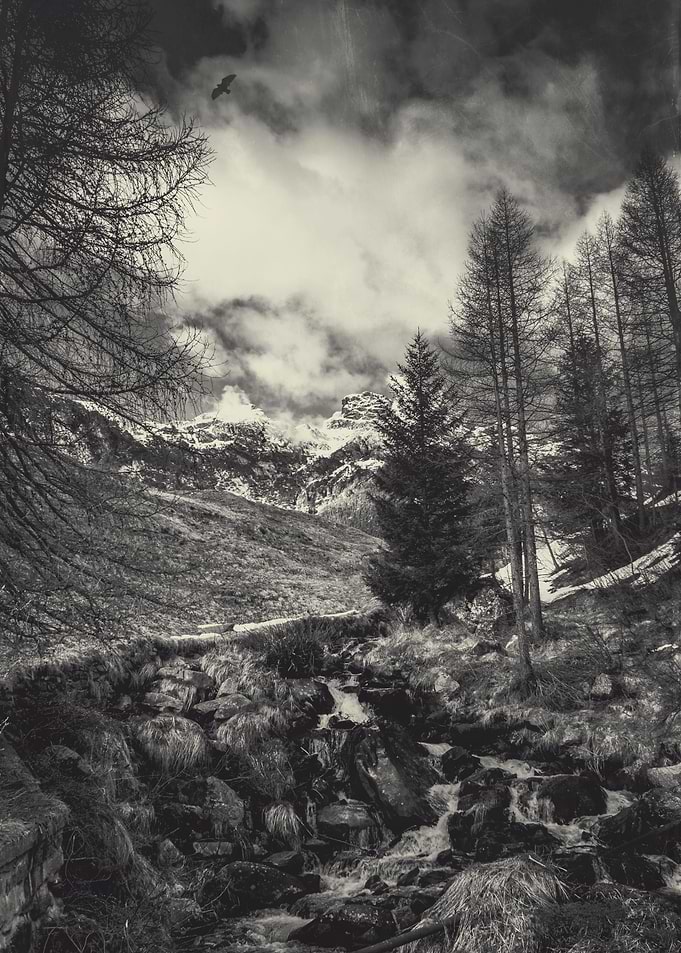 Mountain scenery in the Italian Alps near Sondrio, Lomb ...