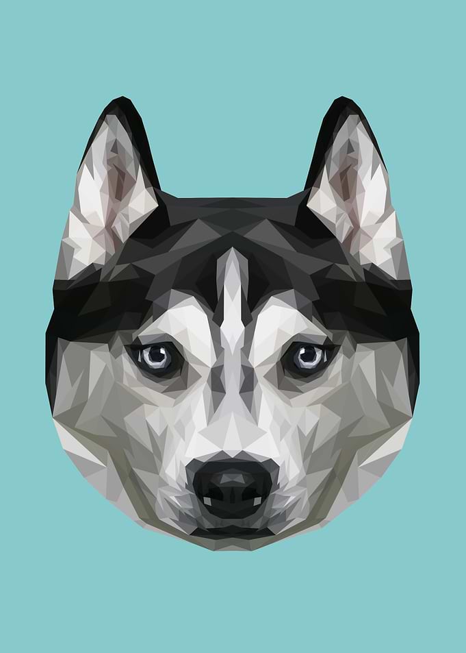 Husky Polygon Art // Blue