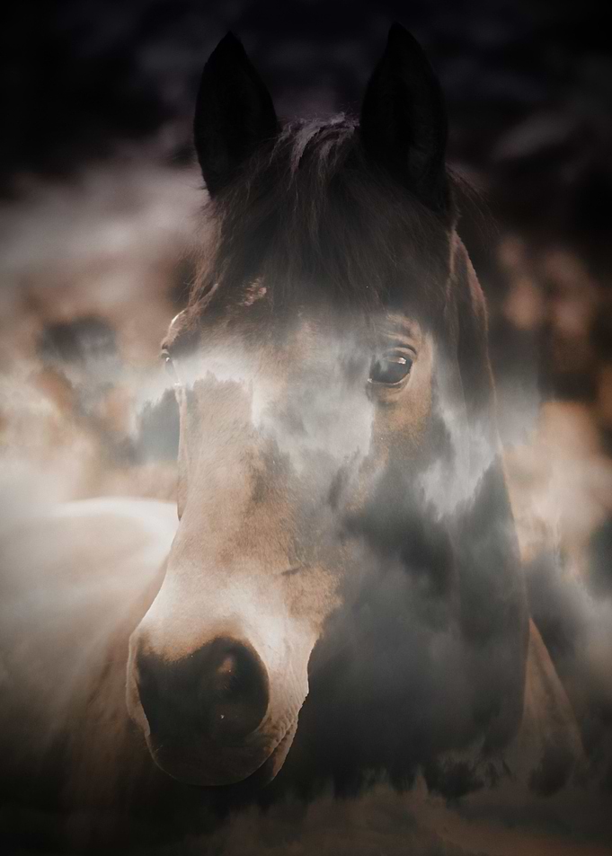 Always In My Dreams by Clare Bevan Photography.