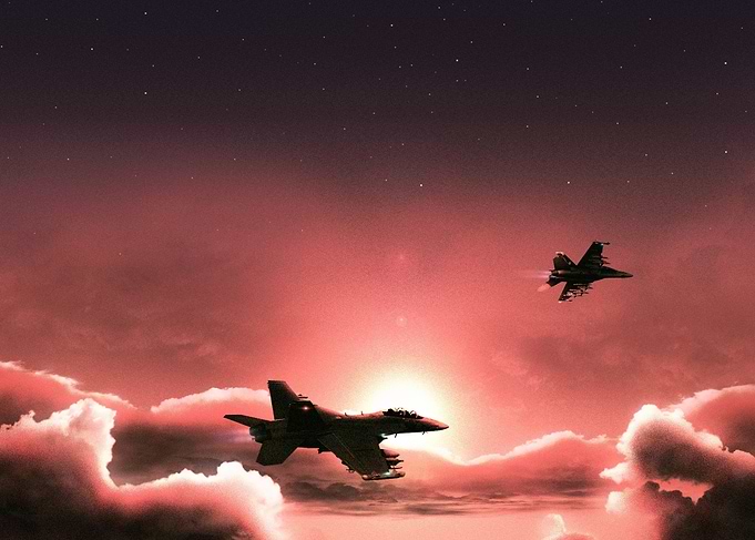 Fly Navy
