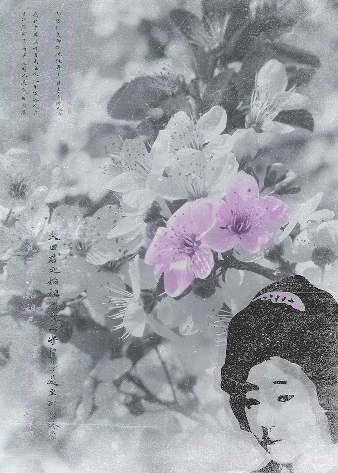 Geisha Oriental Mood Hang this in your special room o ...