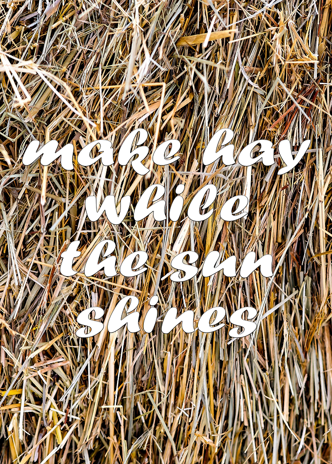 Hay And Saying