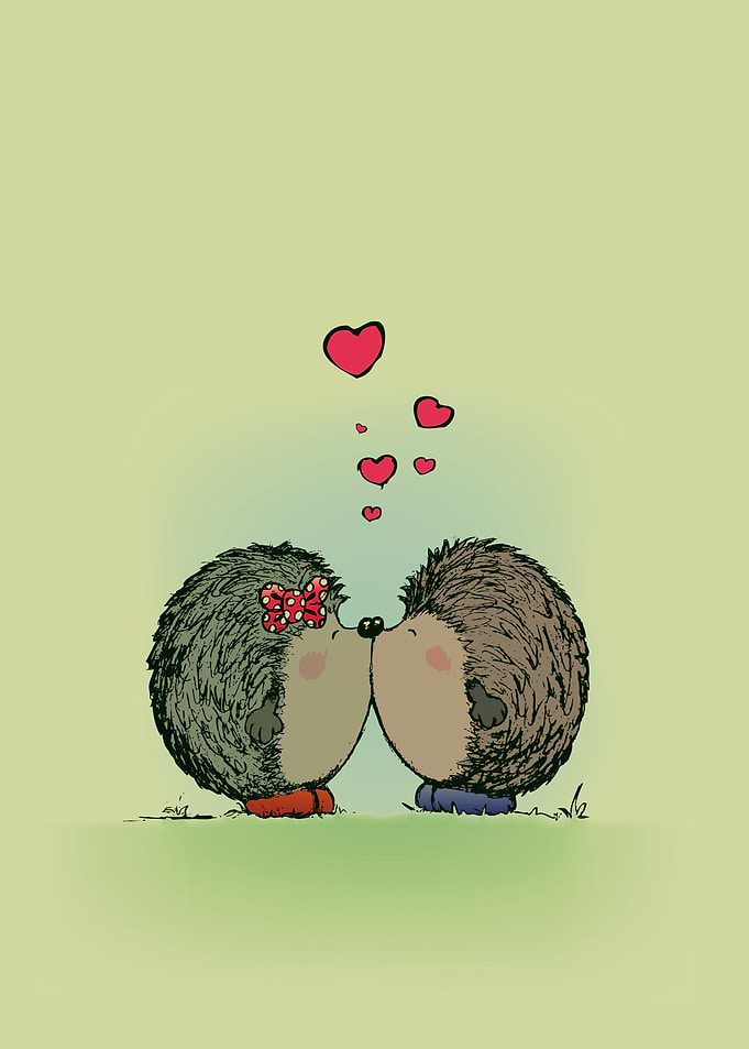Hedgehogs in love