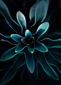 almost blue