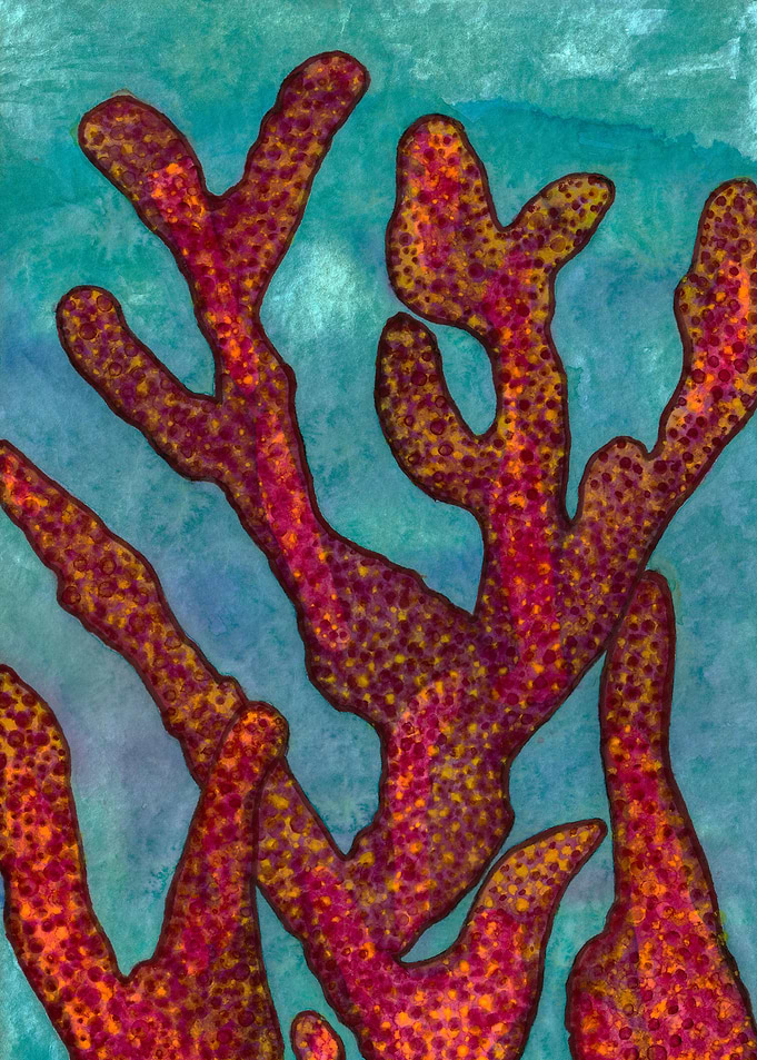 Red Coral