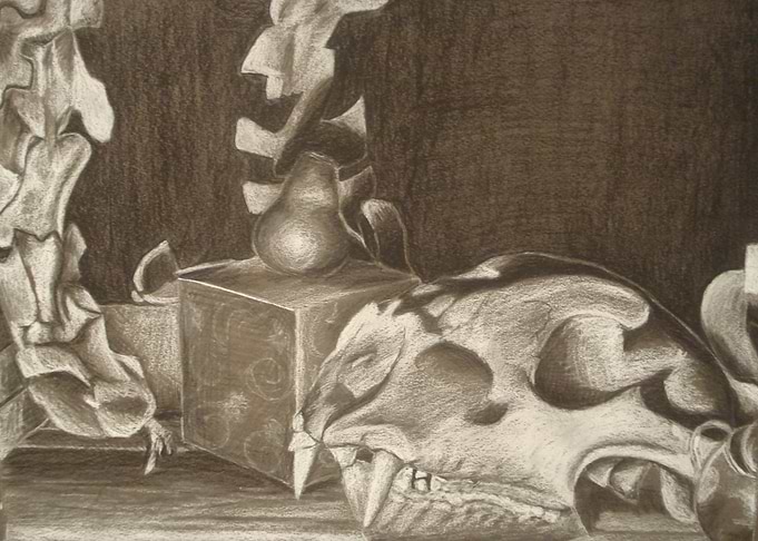 Bone Study