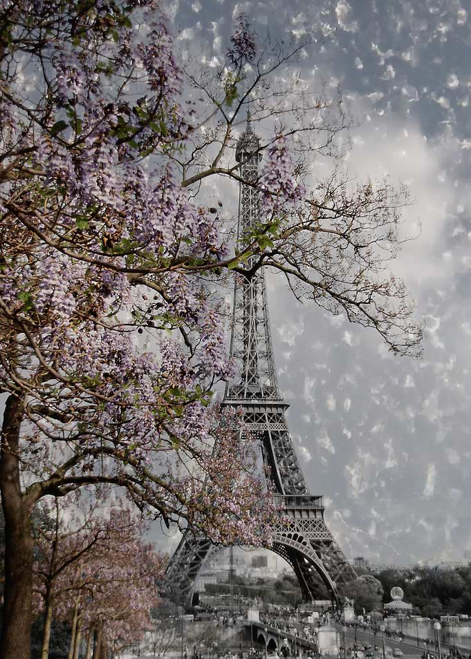 Printemps Parisienne