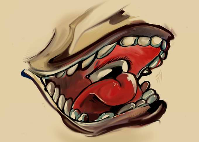 what your mouth sees