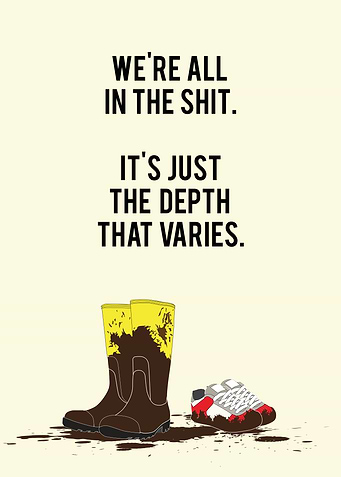 We're all in the shit. It's just the depth that varies. ...