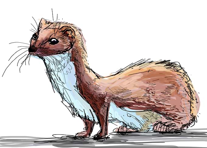Fluffyness.