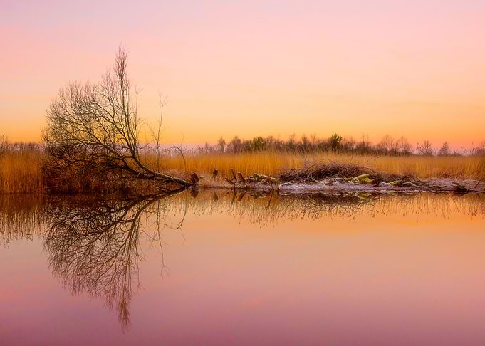 Early Morning