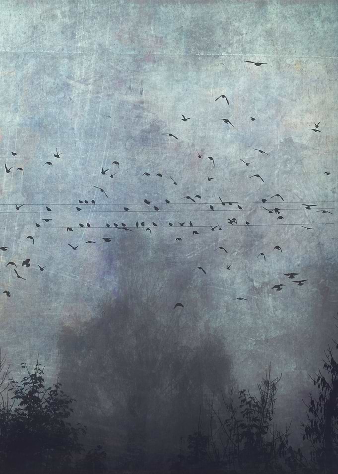 fantasmas