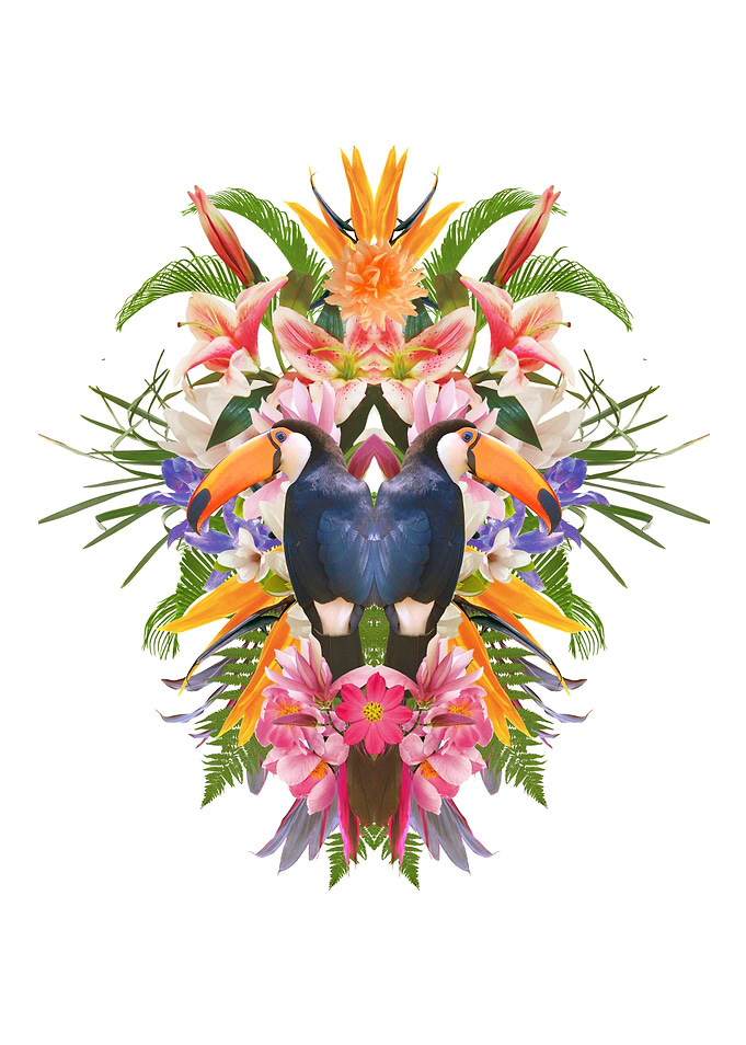 Toucan and flowers