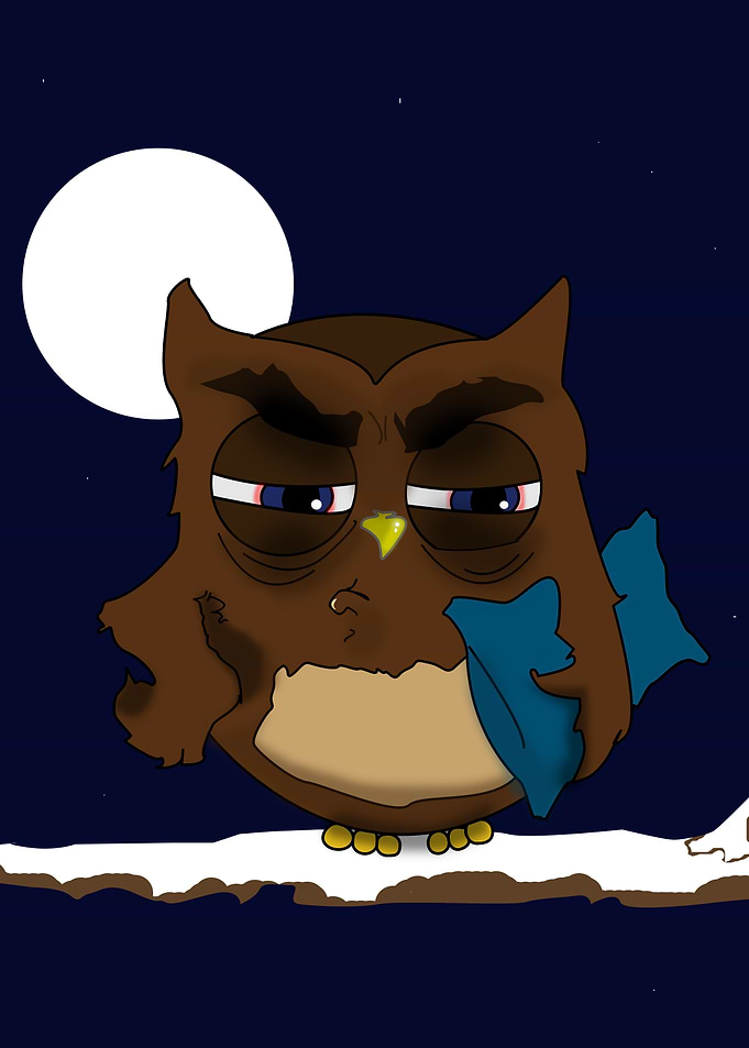 Owl , insomniac angry bird wants to sleep.