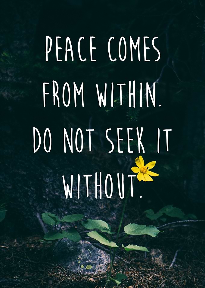 Peace comes from within. Do not seek it without. -The B ...