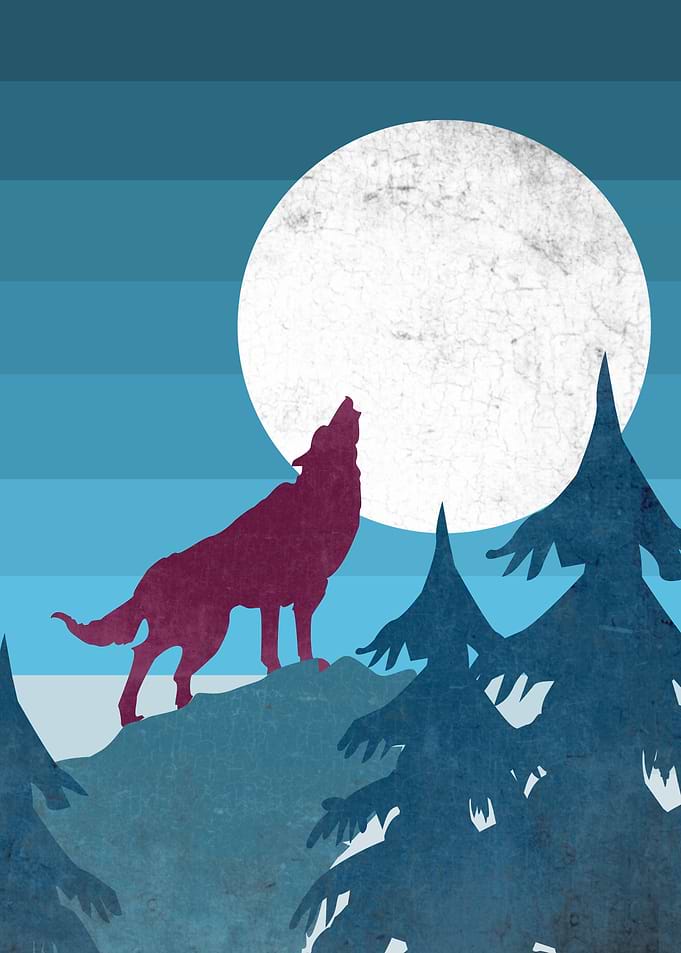 wolf you are not alone, midnight , full moon