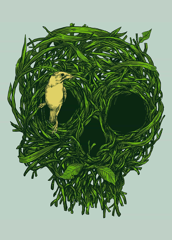 Skull nest