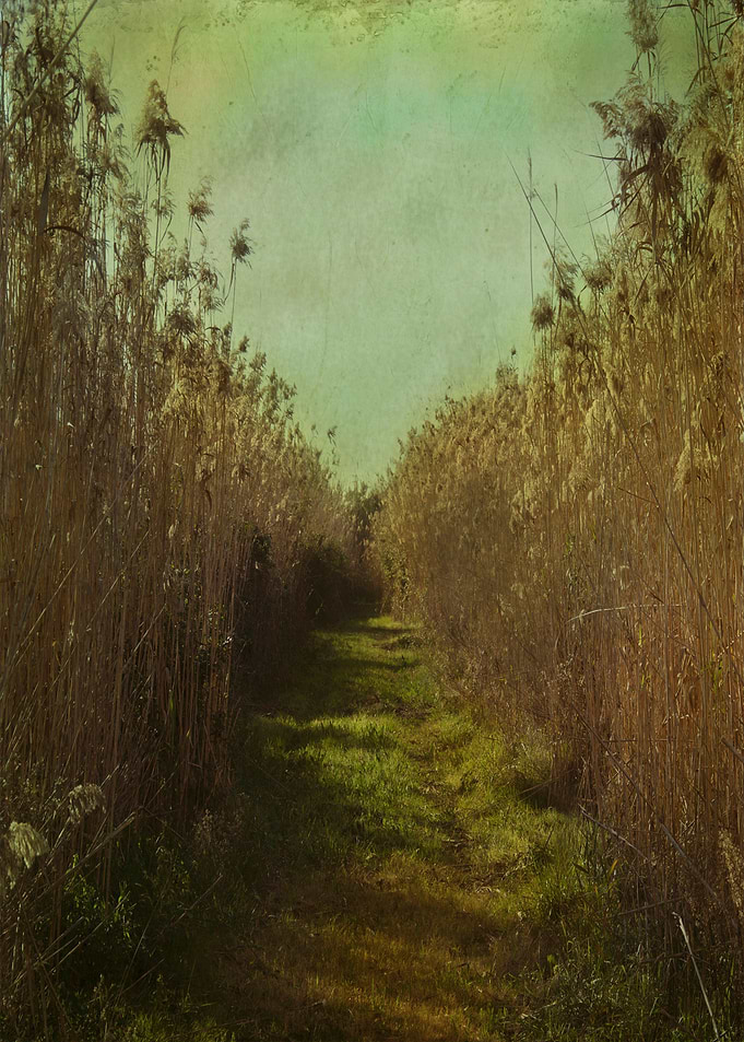 'The path into the unknown' Vintage color photograph